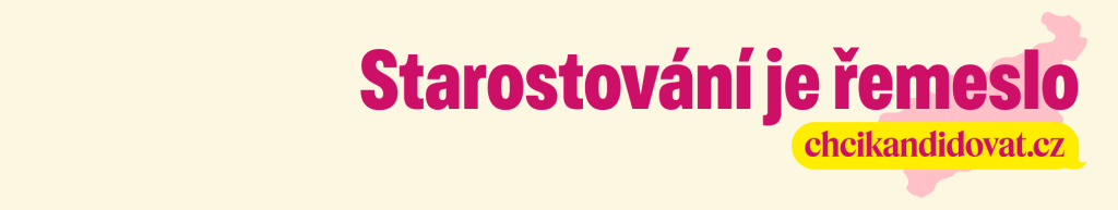 chci kandidovat ve volbách